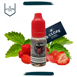 FRAISE DES BOIS 10ml - MR FOX