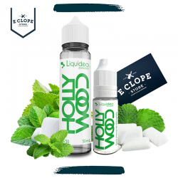 Hollywood 70/30 50ml LIQUIDEO